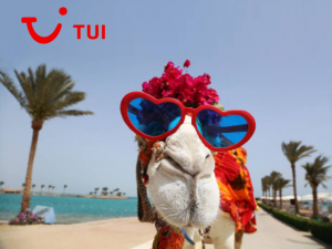 TUI (ТУИ)